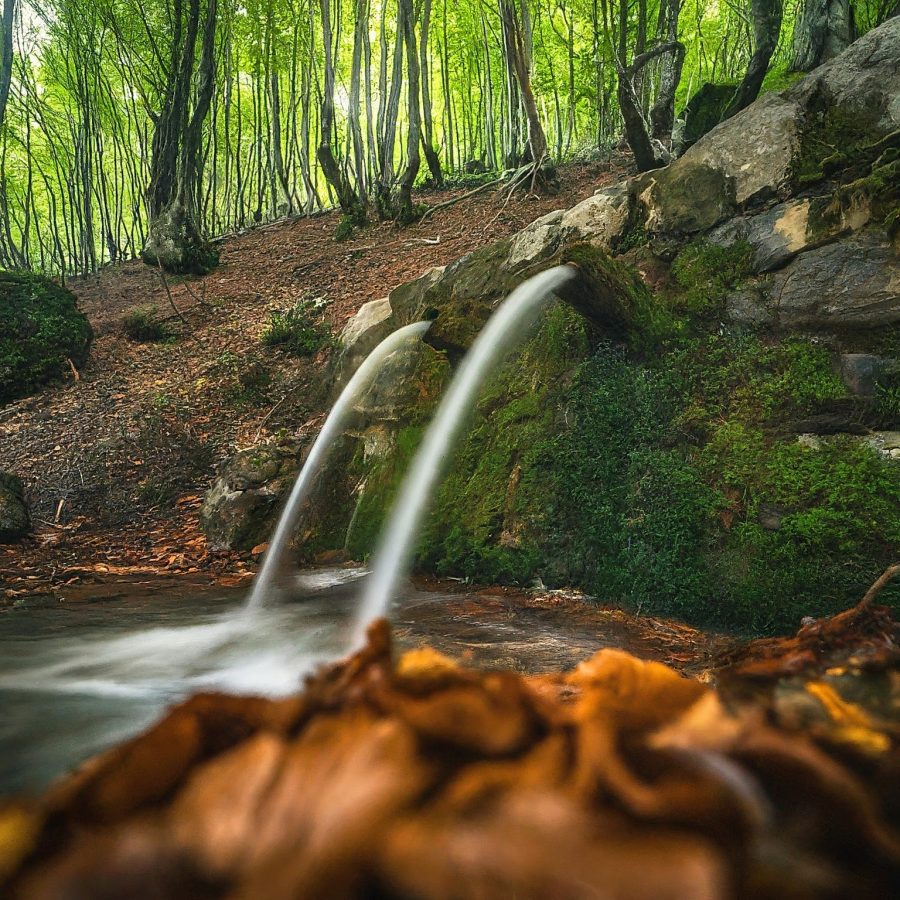 Таємниця Трускавця