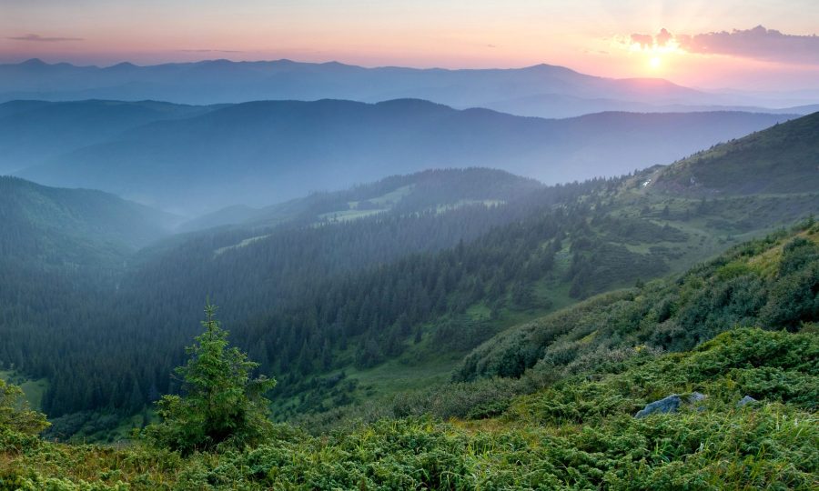 Карпати
