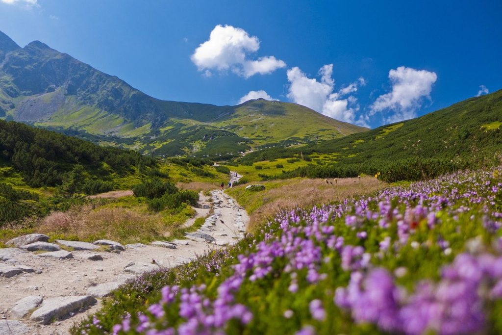 Карпати