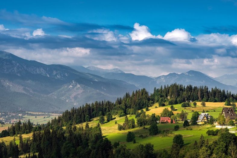 Карпати