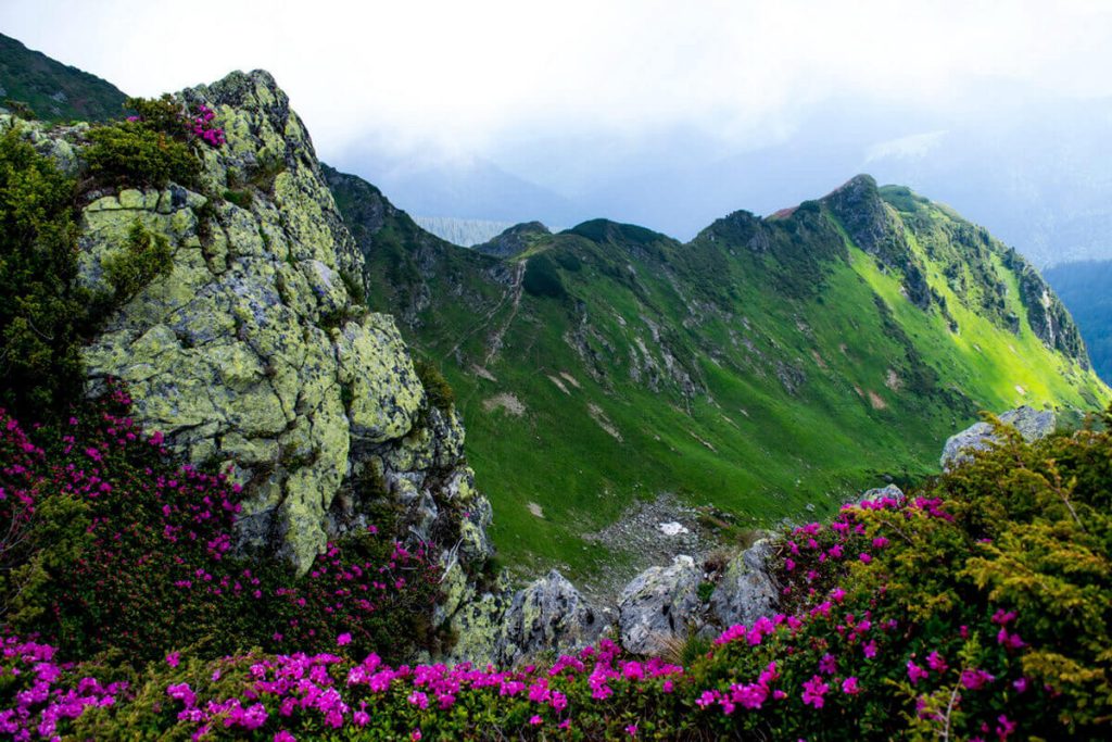 Карпати