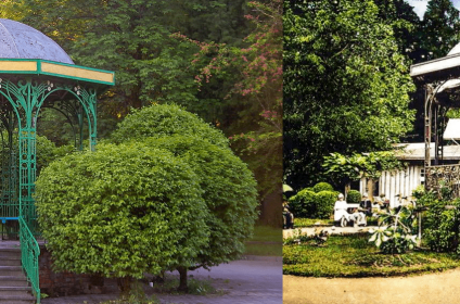 Центральний парк Адамівка