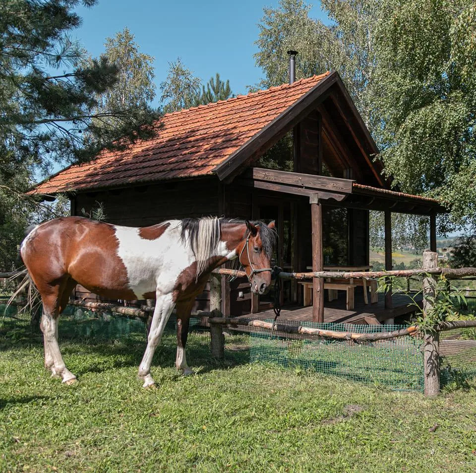 The Cowboy Cabin