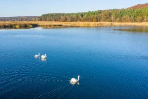 Яворівський національний природний парк