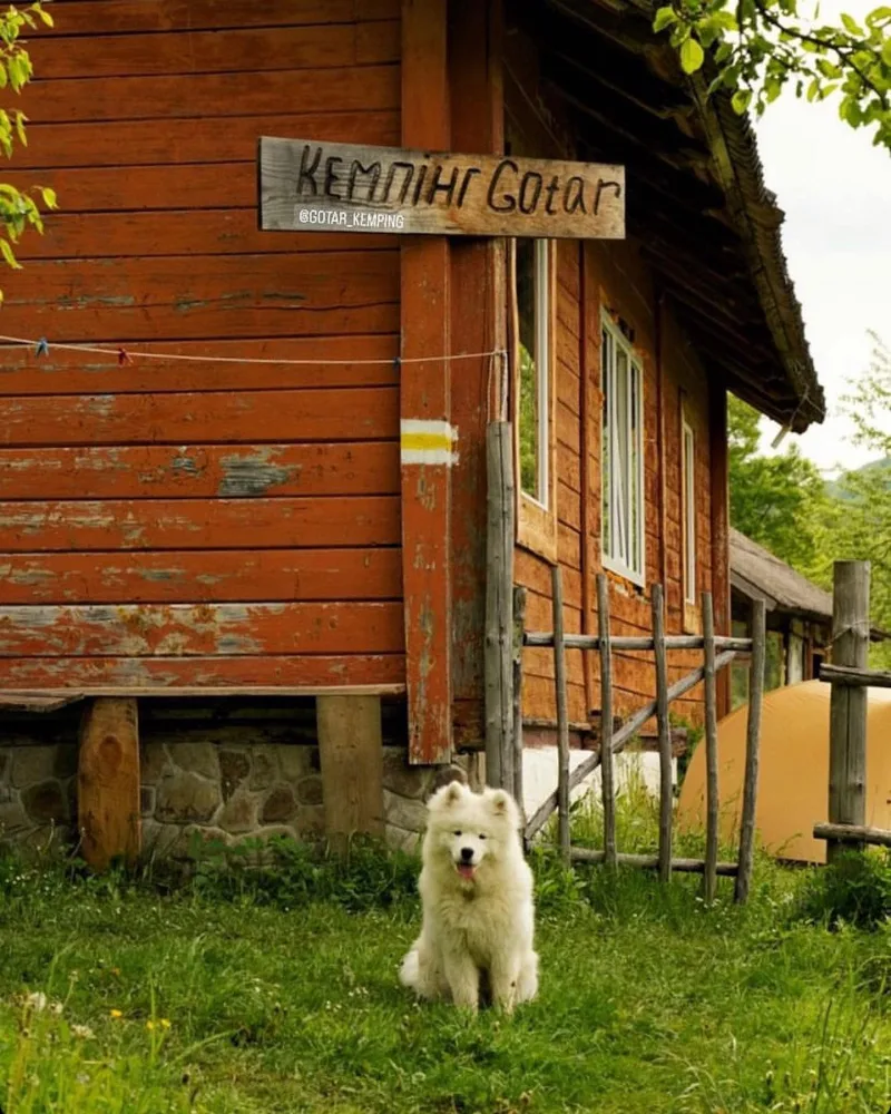 Gotar (с. Ямельниця)