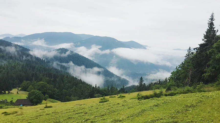 Синевирська Поляна
