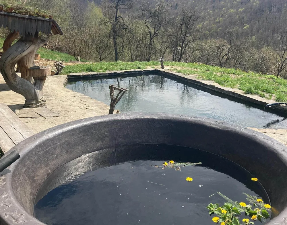 чани лумшори гори