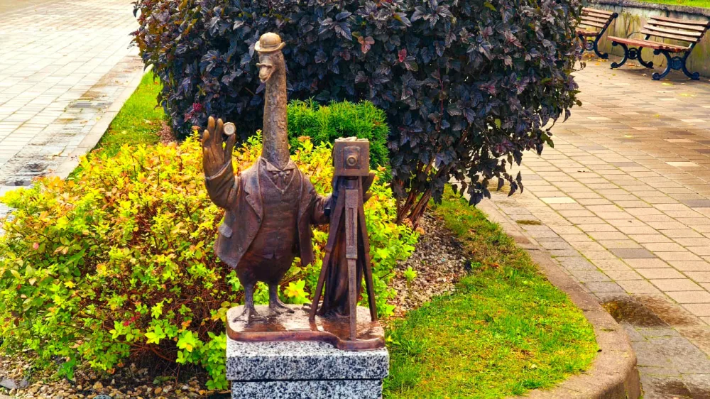 Гусак-Фотограф